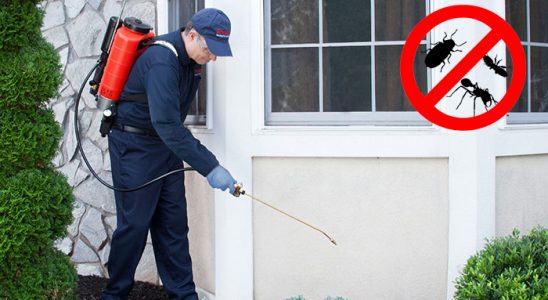 Adaklı Tahtakurusu İlaçlama böcek ilaçlama ve haşere kontrolü — ilaclama-tr.com